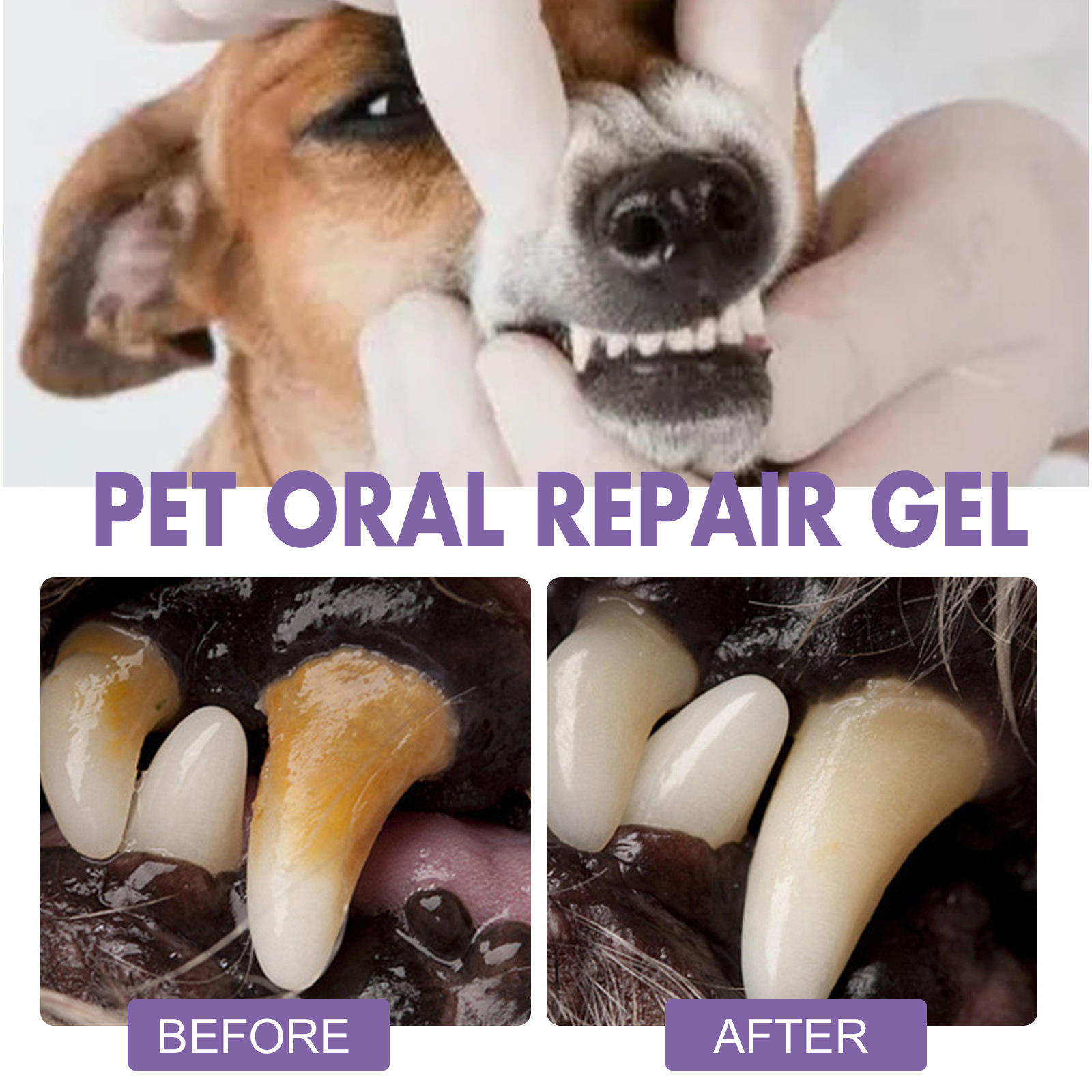 Pet Oral Repair Gel Puppy Tart - огляд і ціна Teeth Whitening Foam